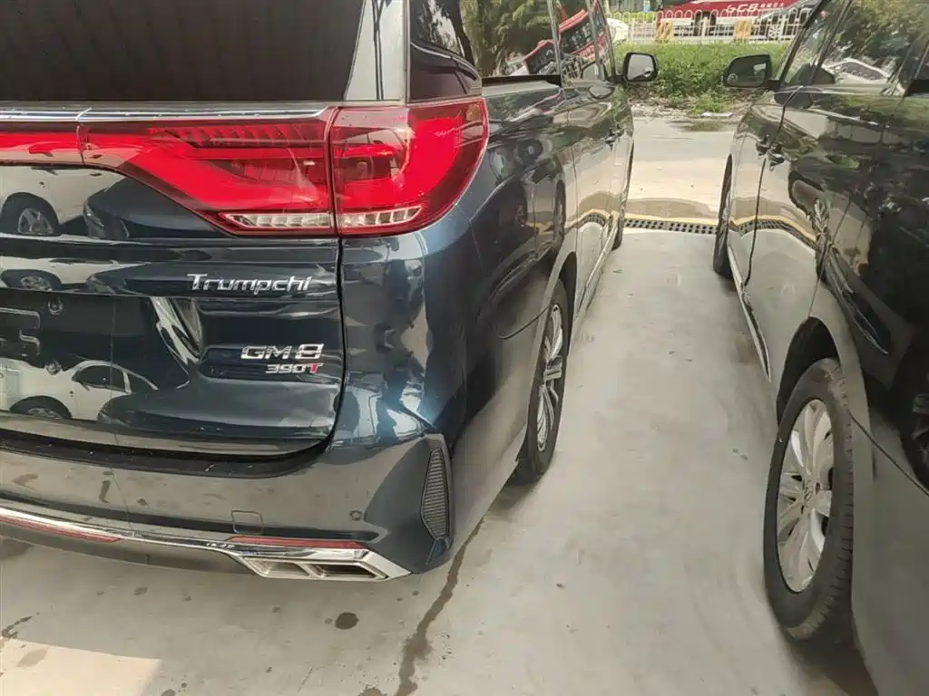 GAC Trumpchi Trumpchi M8 2020 Pilot 390T Prestige Edition фото 8