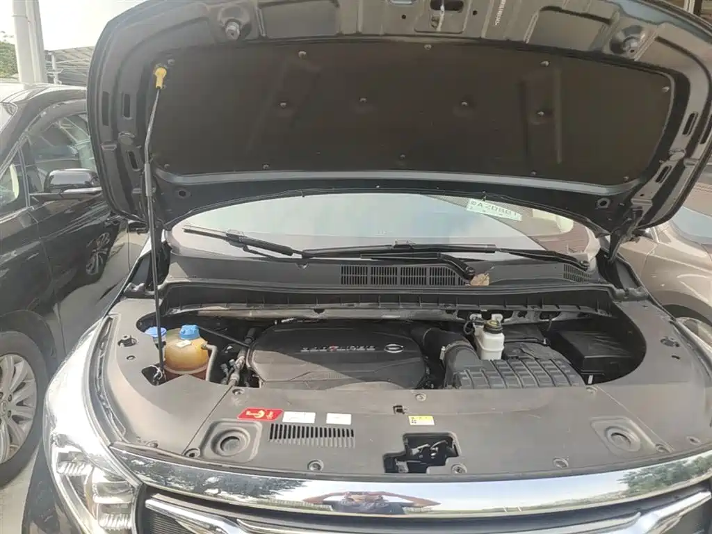 GAC Trumpchi Trumpchi M8 2020 Pilot 390T Prestige Edition фото 20
