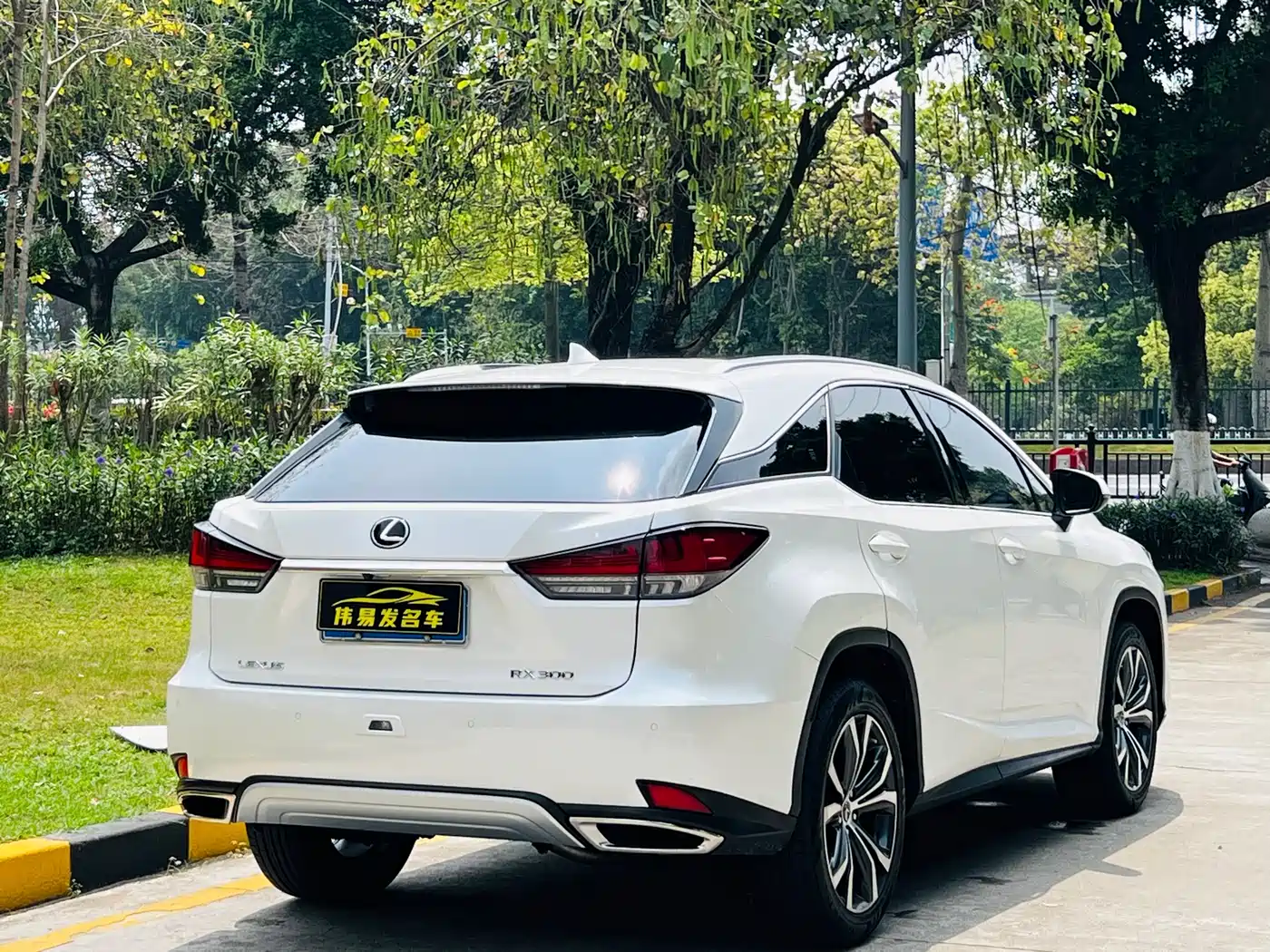 Lexus RX 2020 Facelift 300 AWD Elegance Edition фото 4