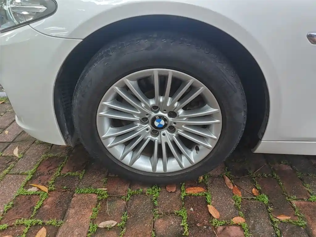BMW 5 Series 2014 525Li Leading фото 23