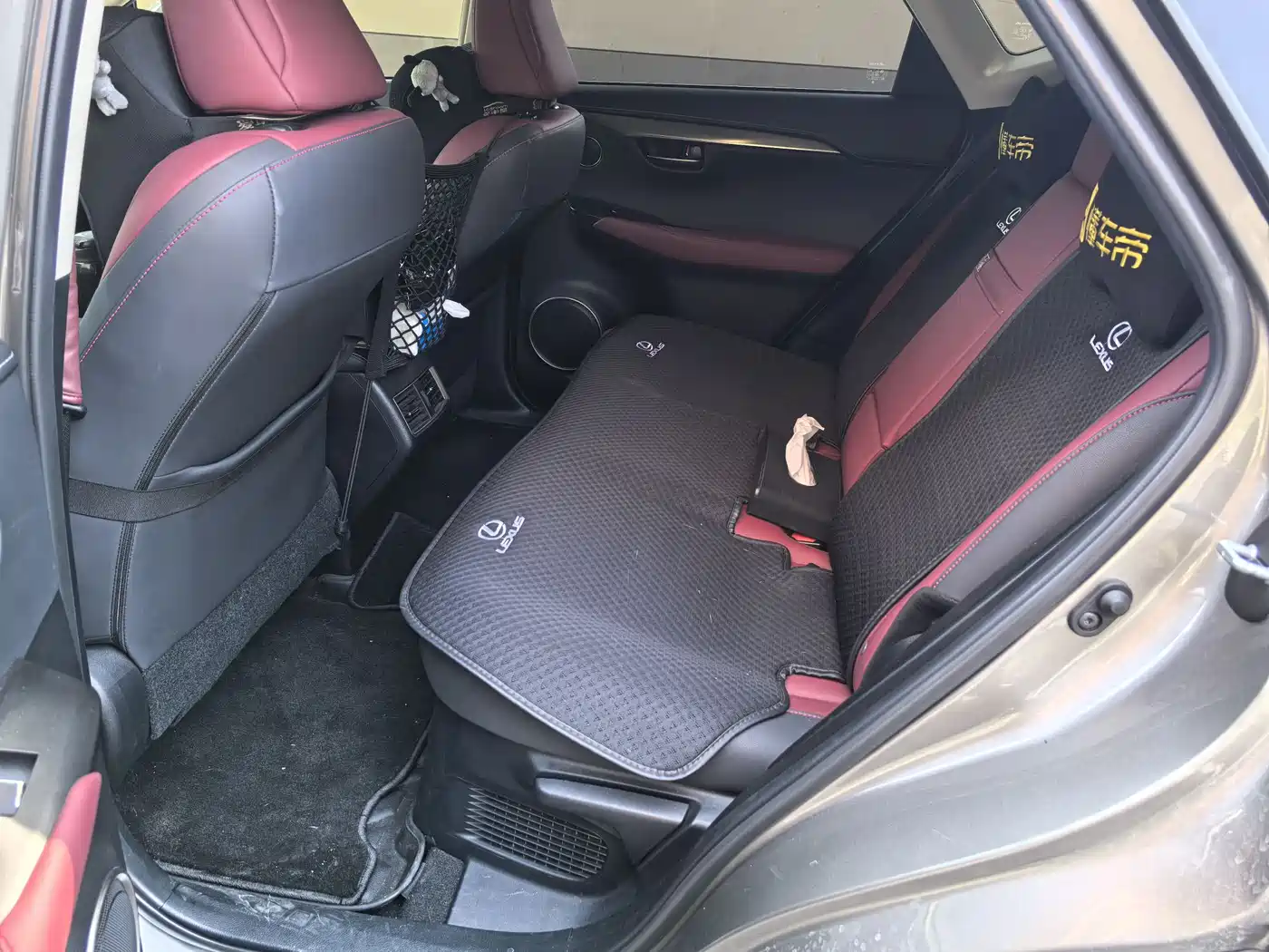 Lexus NX 2020 300h FWD F Sport China V фото 16