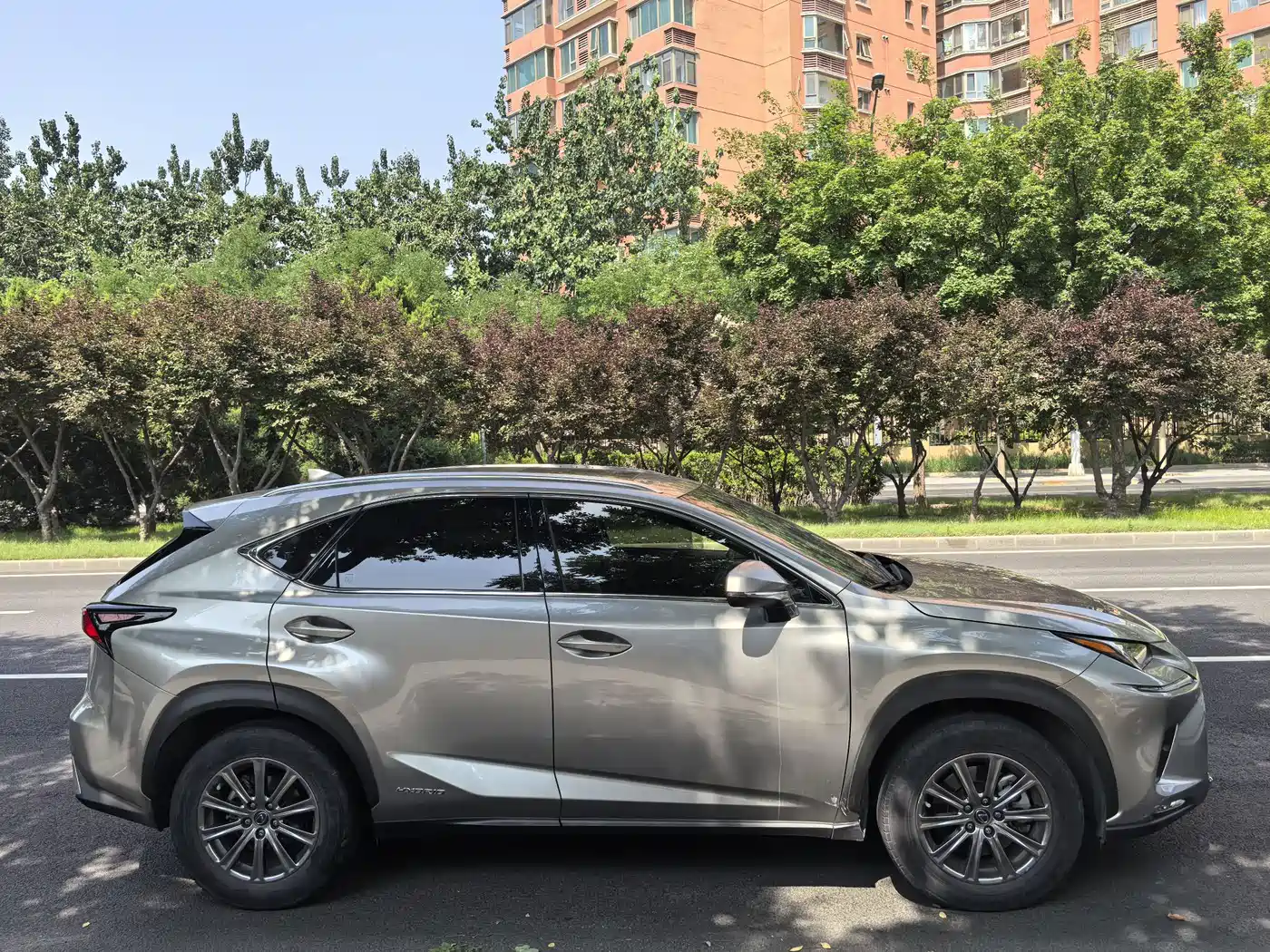 Lexus NX 2020 300h FWD F Sport China V фото 7