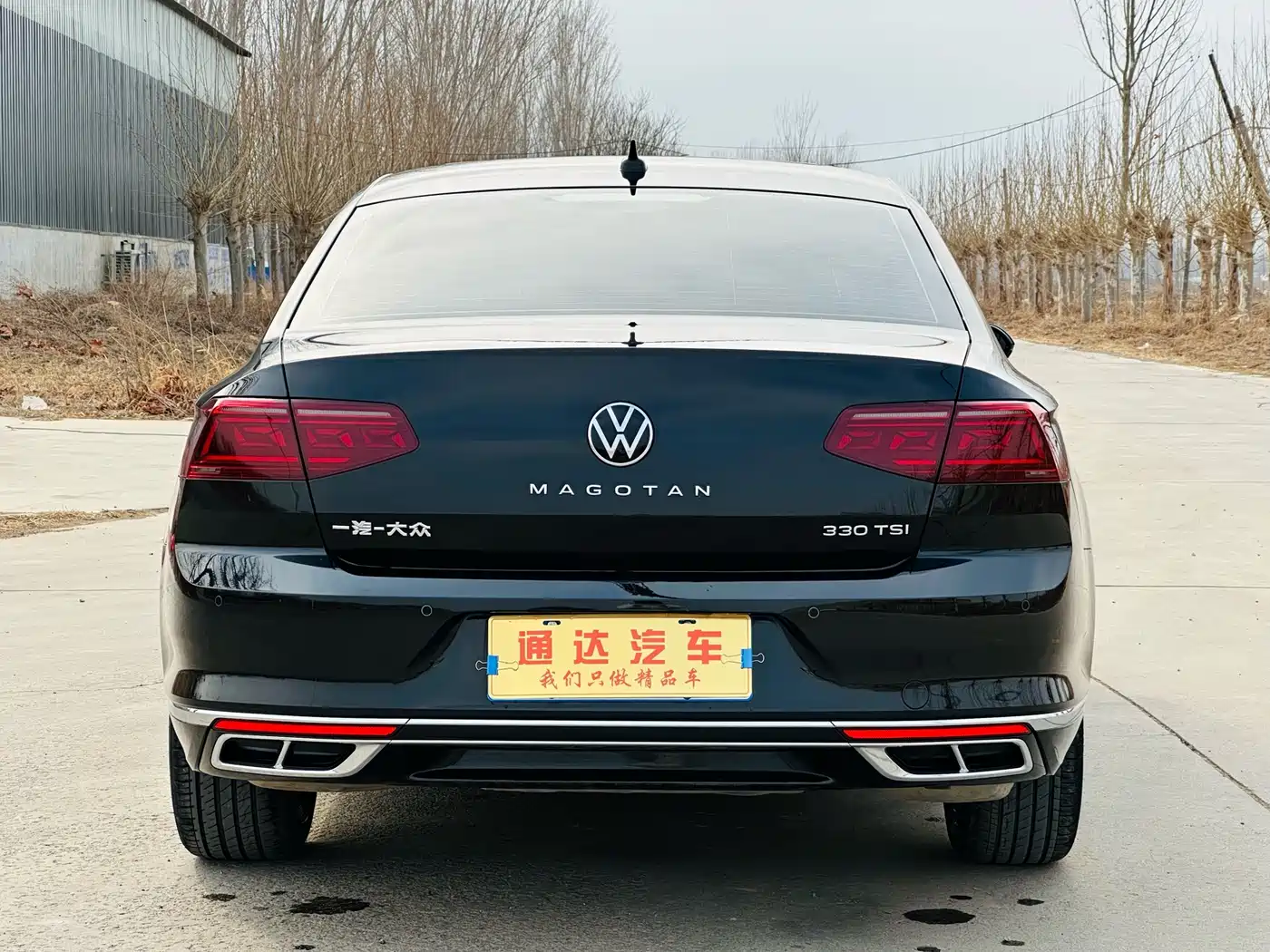 Volkswagen Magotan 2025 Facelift Public Edition 330TSI DSG Luxury фото 4