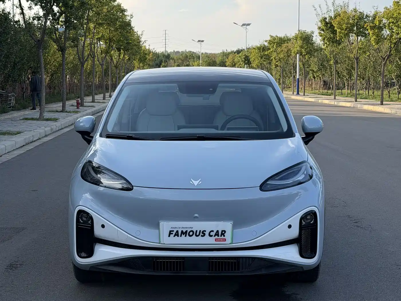 2025 ARCFOX Koala