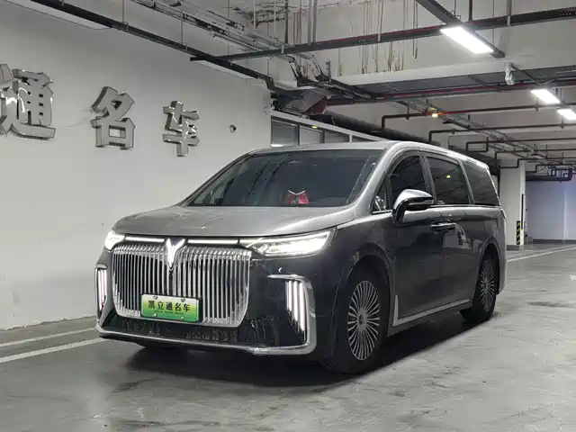Voyah Auto Voyah Dreamer 2025