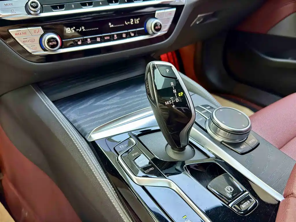 BMW 5 Series 2021 530Li Leading M Sport Package фото 11