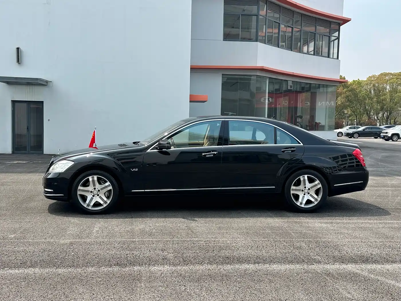Mercedes-Benz S-Class 2010 S 600 L фото 8