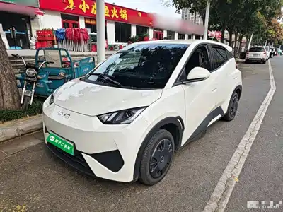 BYD Seagull