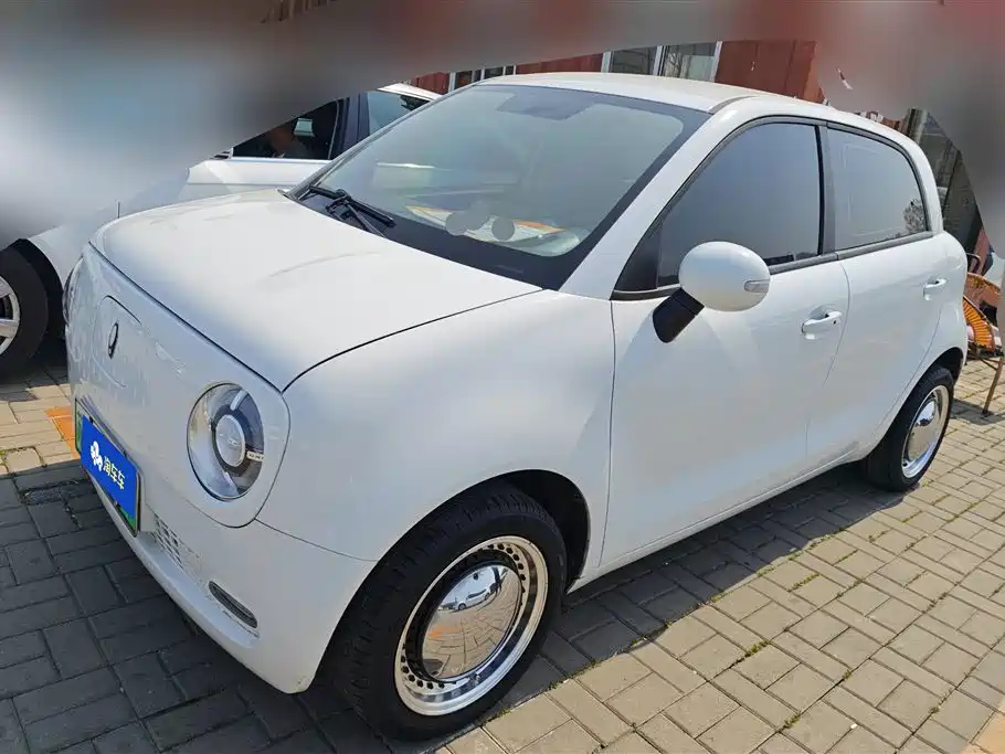 EULER BLACK CAT 2022