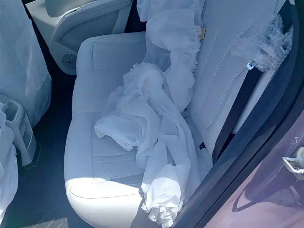 Geely Galaxy Starry Wish 2026 Edition 310km Youth Version фото 17