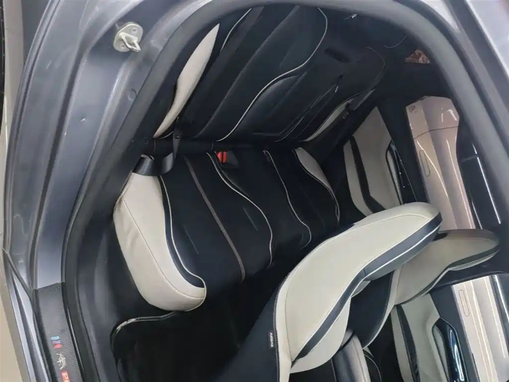 BYD Qin PLUS 2021 DM-i 55KM Flagship фото 17