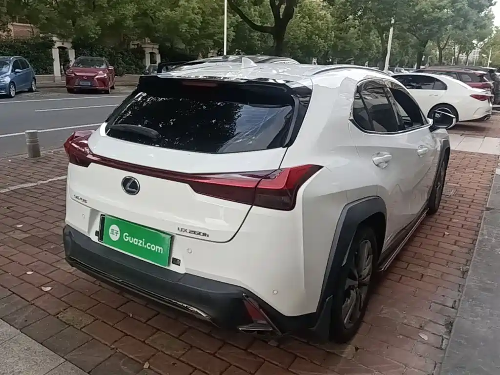 Lexus UX 2020 2020 260h F SPORT Edition