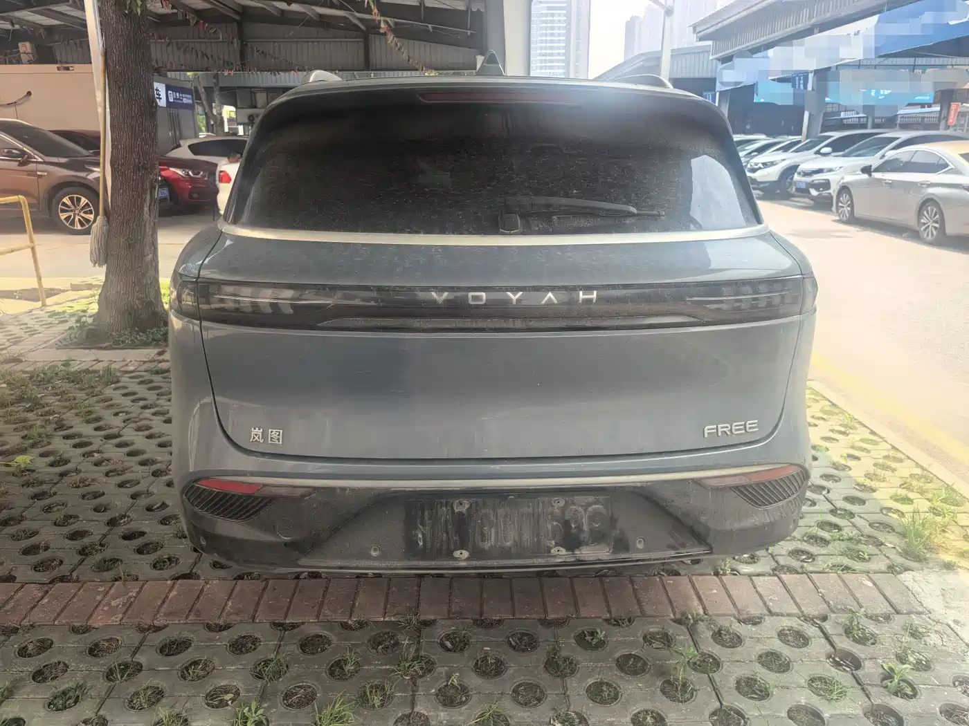 Voyah Auto VOYAH FREE 2021 AWD Standard Range Extender Exclusive Luxury Package фото 14