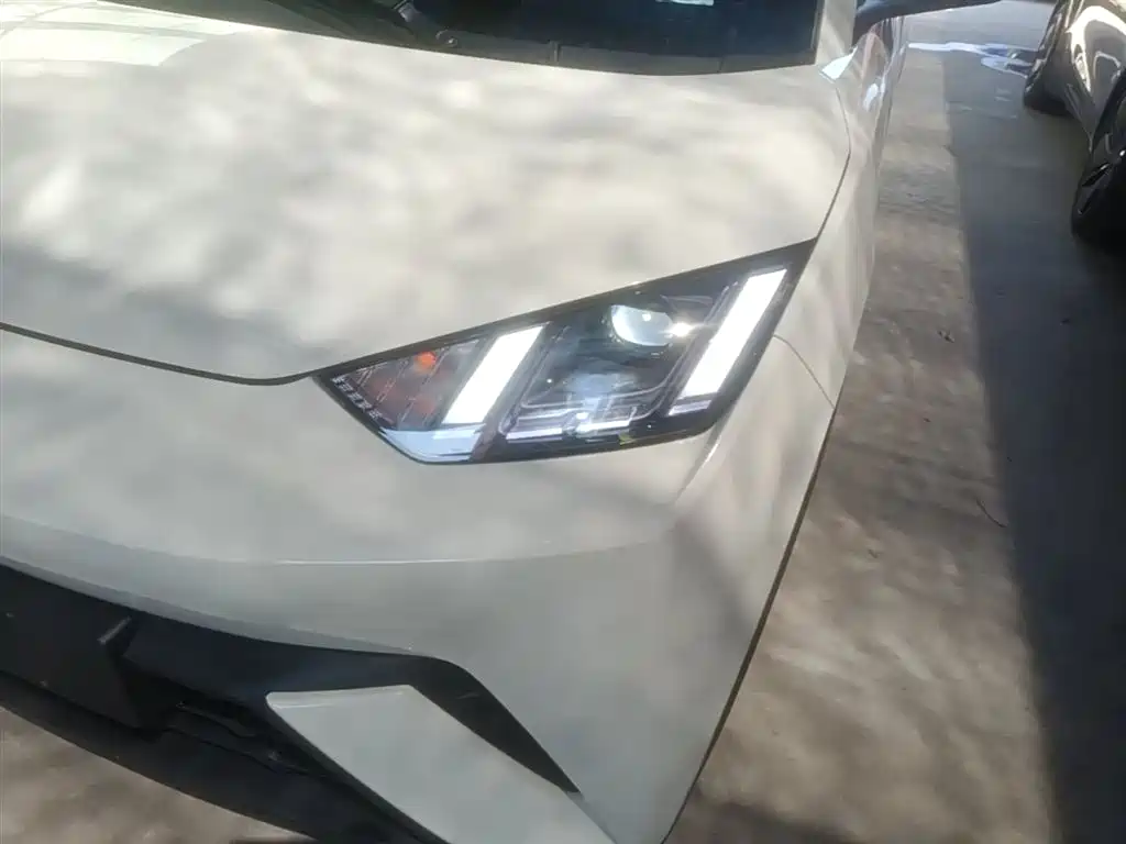 BYD Seagull 2023 Freedom Edition фото 24
