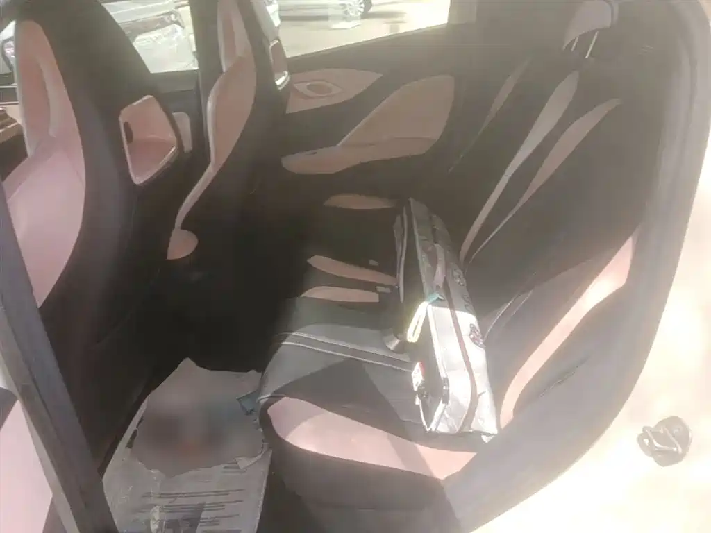 BYD Seagull 2023 Freedom Edition фото 17