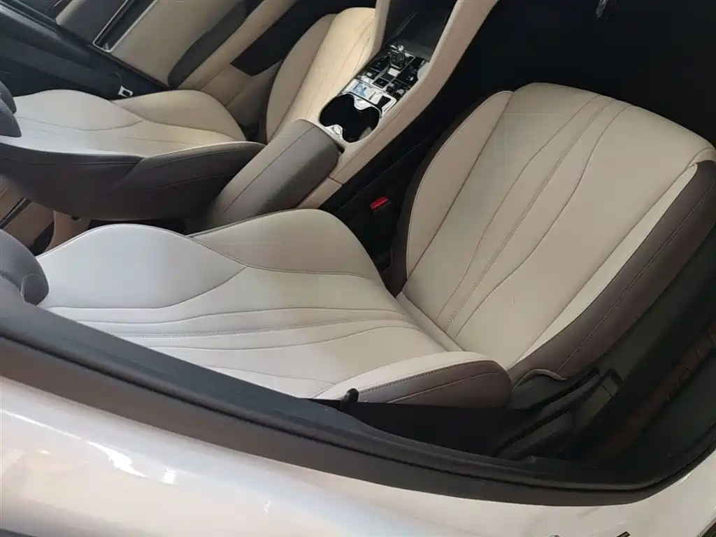 BYD Song PLUS PHEV 2025 DM-i 112KM Premium фото 25