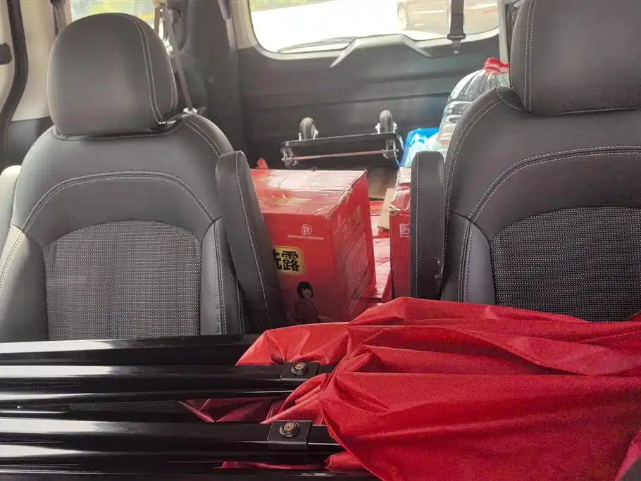 SAIC MAXUS CHASE G10