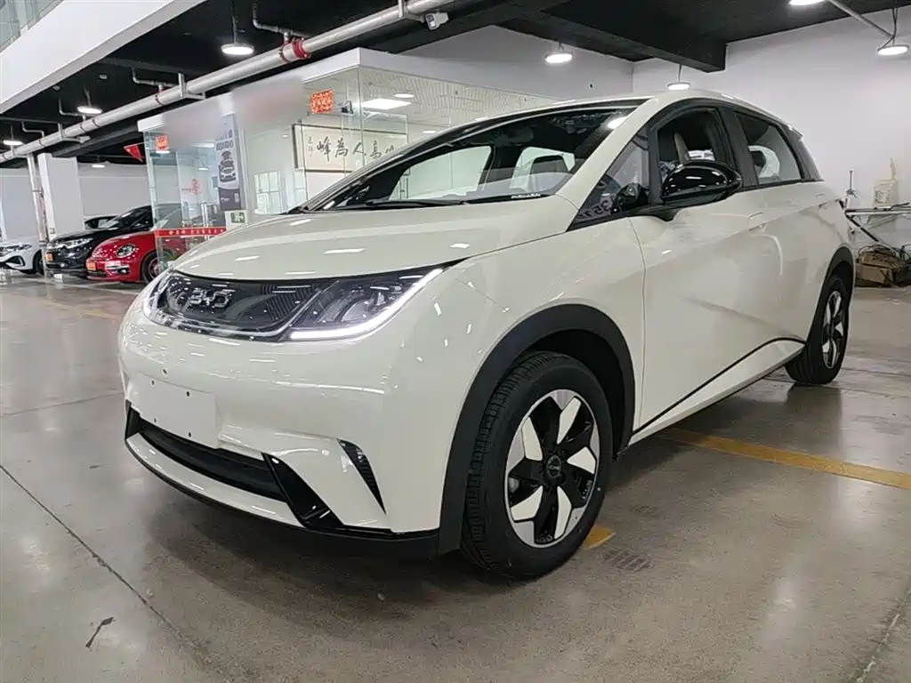 BYD Dolphin 2025 420km Freedom Edition