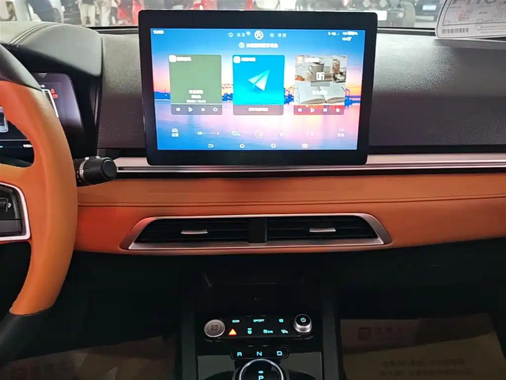 BYD e2 2021 Luxury Edition фото 13