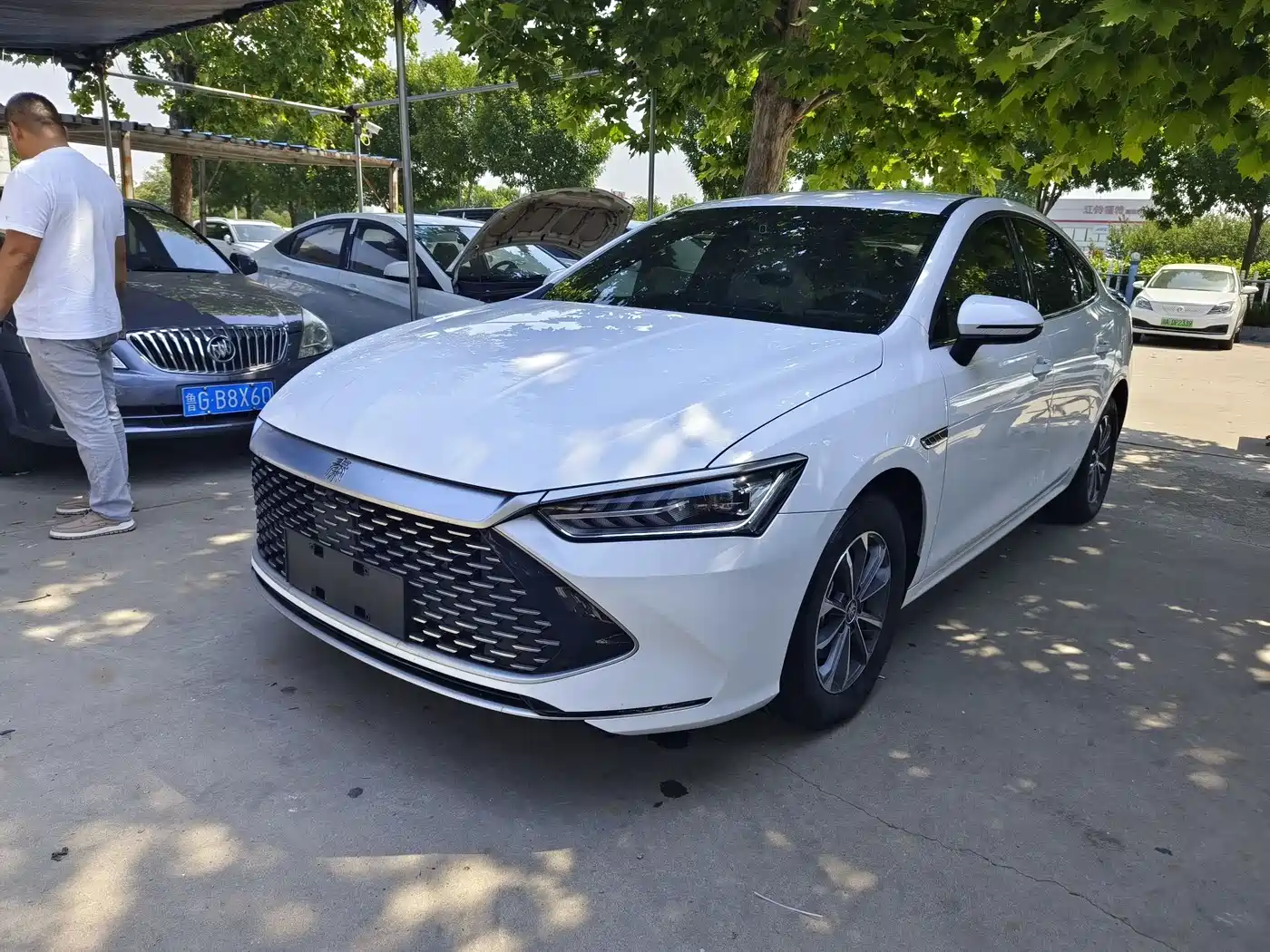 BYD Qin PLUS 2024 Glory Edition DM-i 55KM Leading
