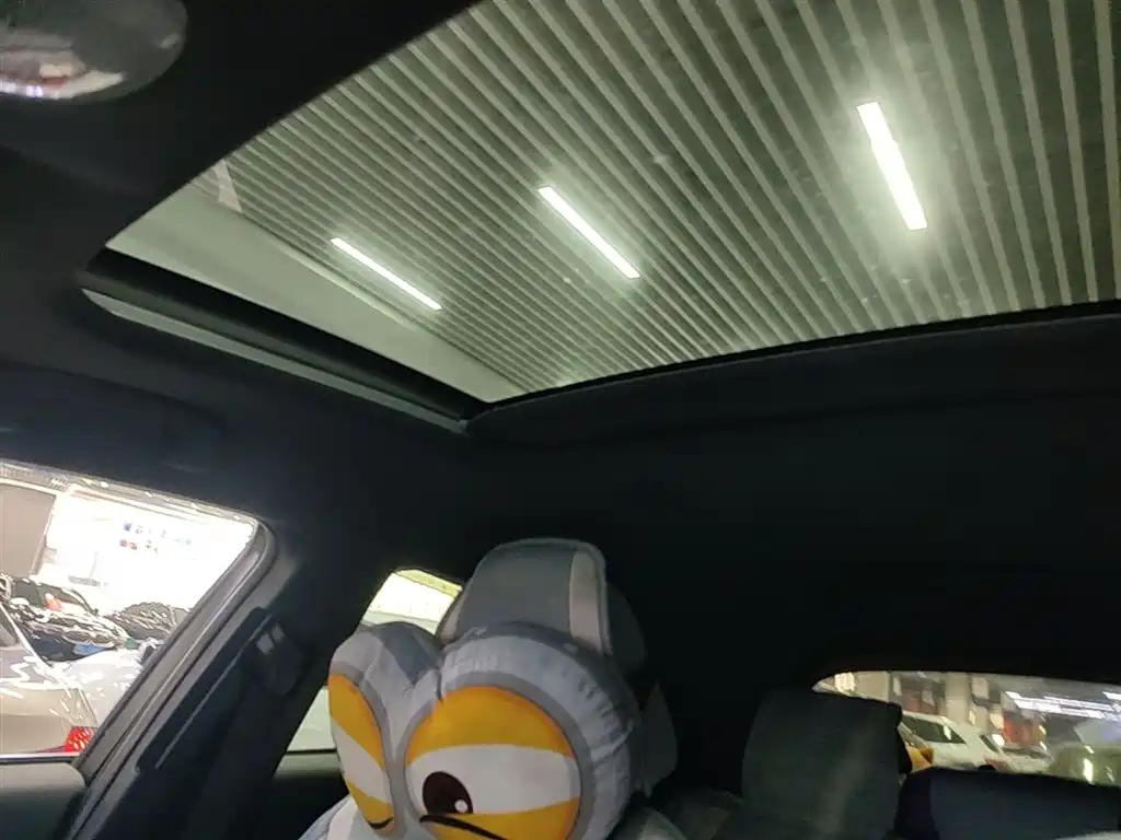 Toyota C-HR 2018 2.0L Leading Sunroof Edition V фото 18