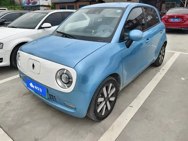 EULER BLACK CAT 2020