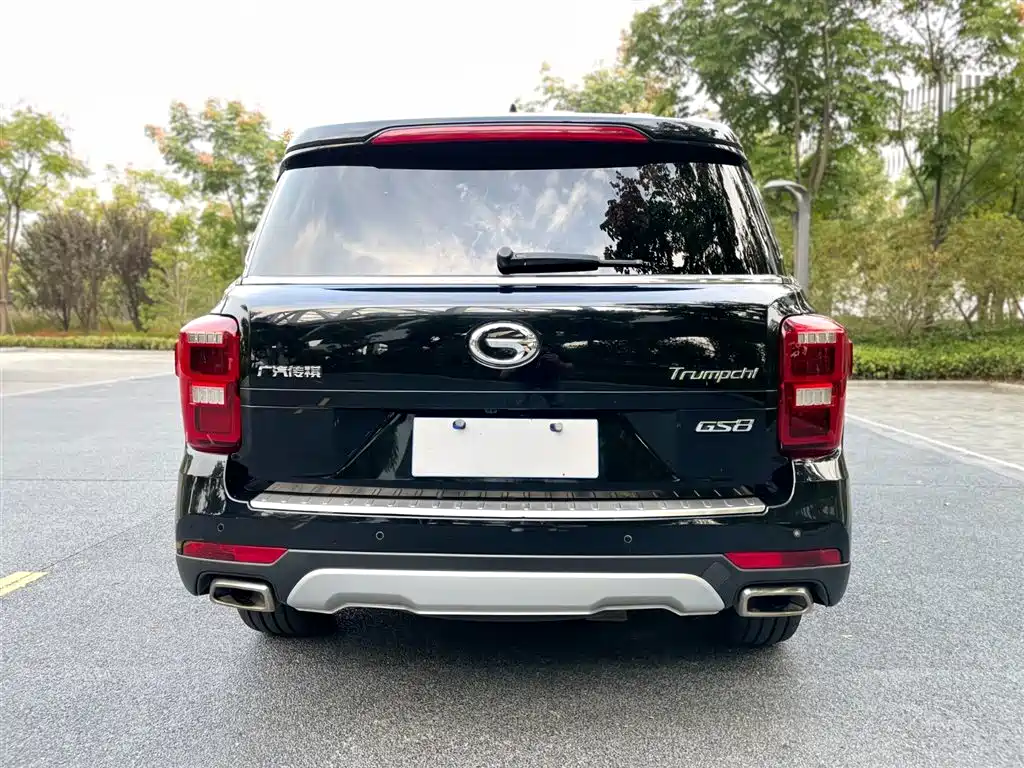 GAC Trumpchi Trumpchi GS8 2017 320T 2WD Luxury Smart Connect (7-seater) фото 15