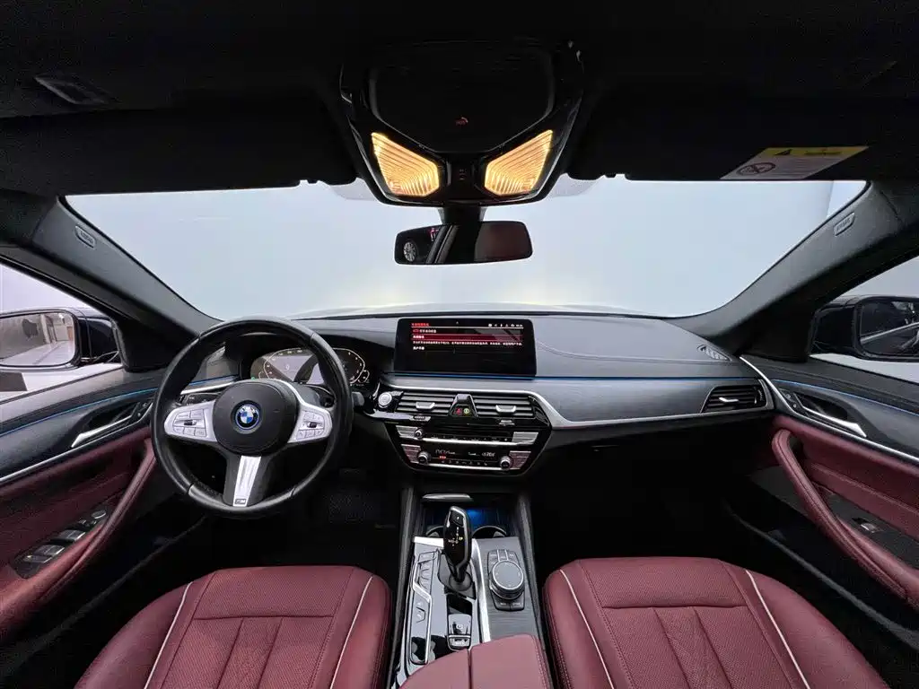 BMW 5 SERIES NEW ENERGY