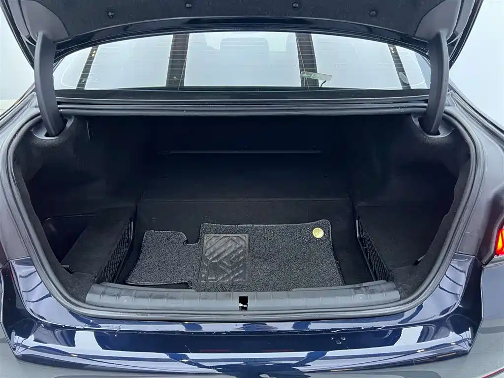 BMW 5 SERIES NEW ENERGY