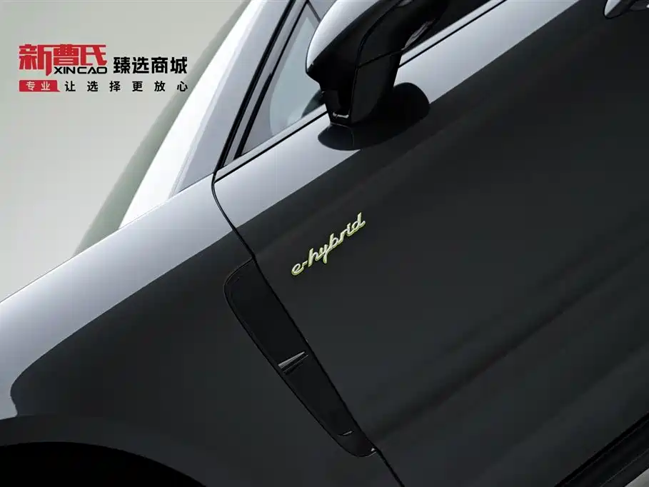 PORSCHE PANAMERA NEW ENERGY