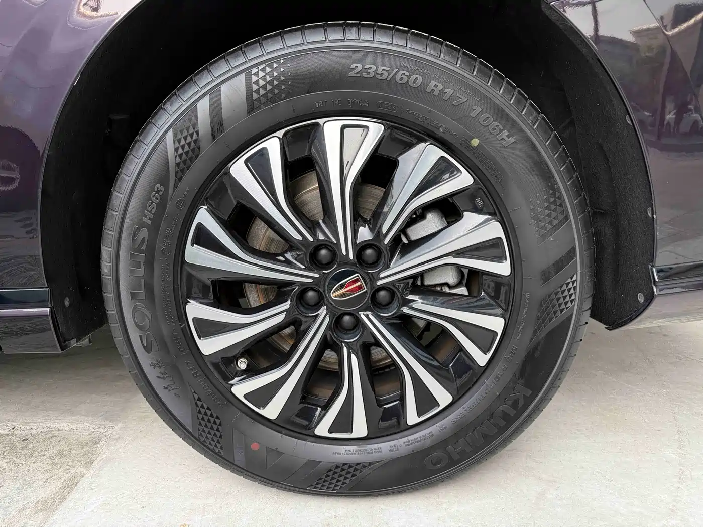 Hongqi HQ9 PHEV 2024 Model 2.0T AWD Luxury Edition фото 29