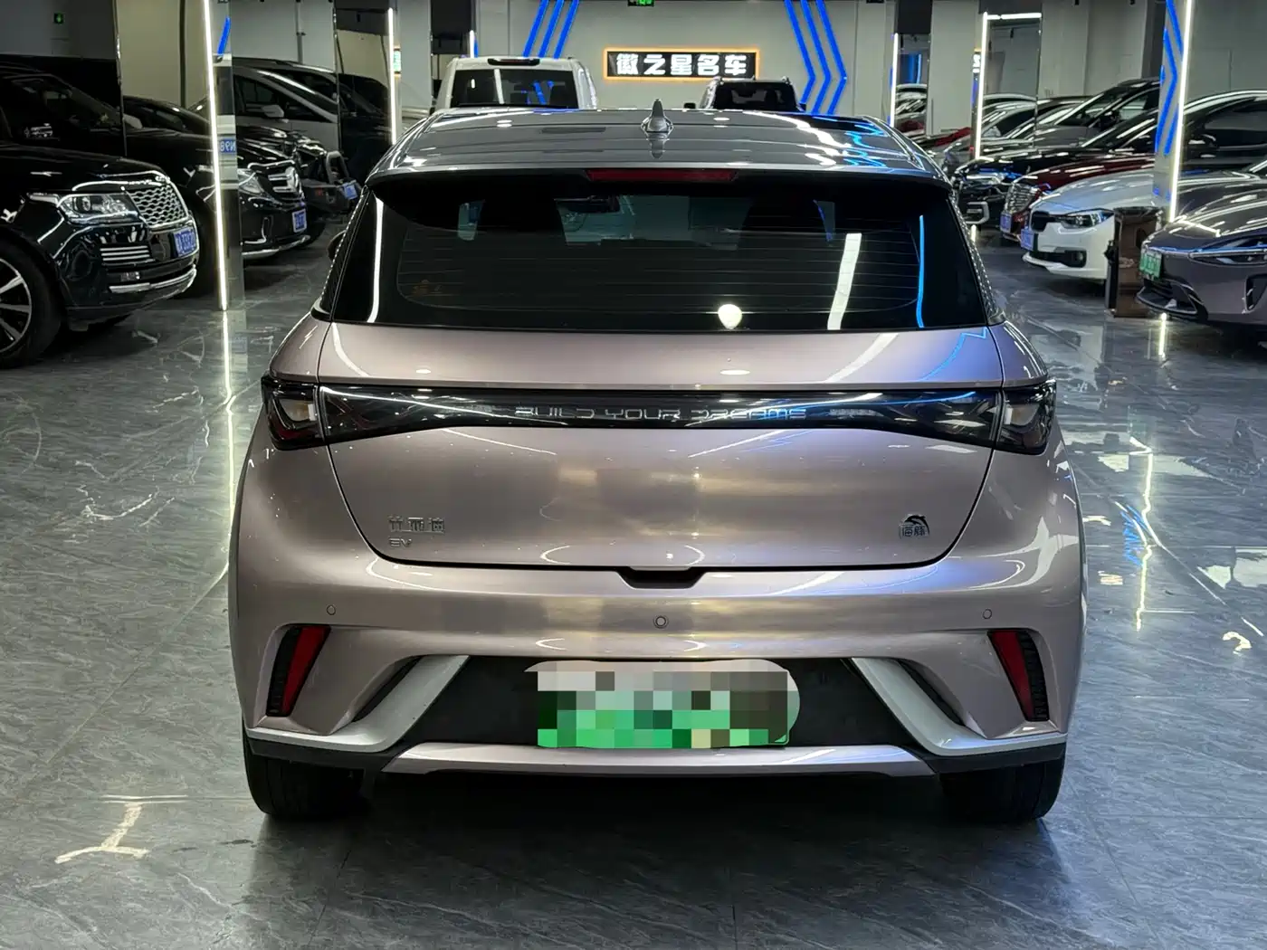 BYD Dolphin 2021 Model 405km Fashion Edition фото 12