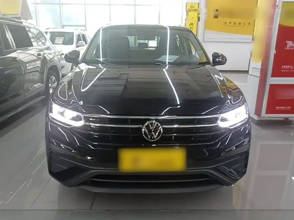 Volkswagen Tiguan L 2024 Outstanding 300TSI Auto 2WD Dragon Soaring Edition фото 3