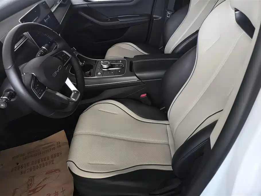 BYD Destroyer 05 2024 Glory Edition DM-i 55KM Luxury фото 9