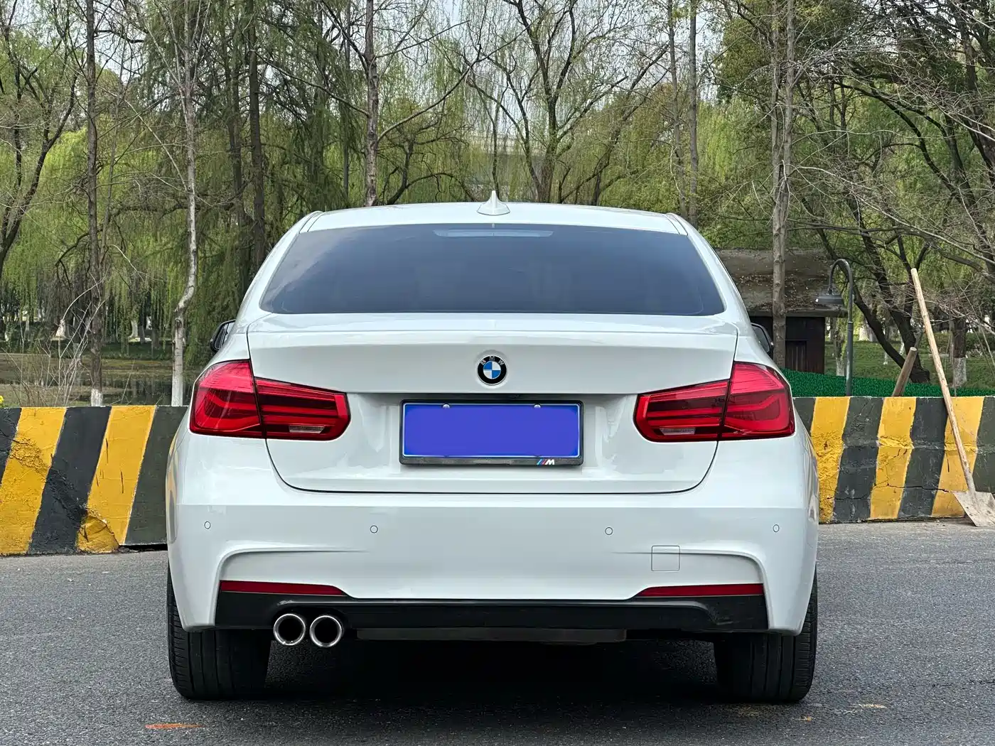 BMW 3 Series 2019 320Li M Luxury Package фото 6