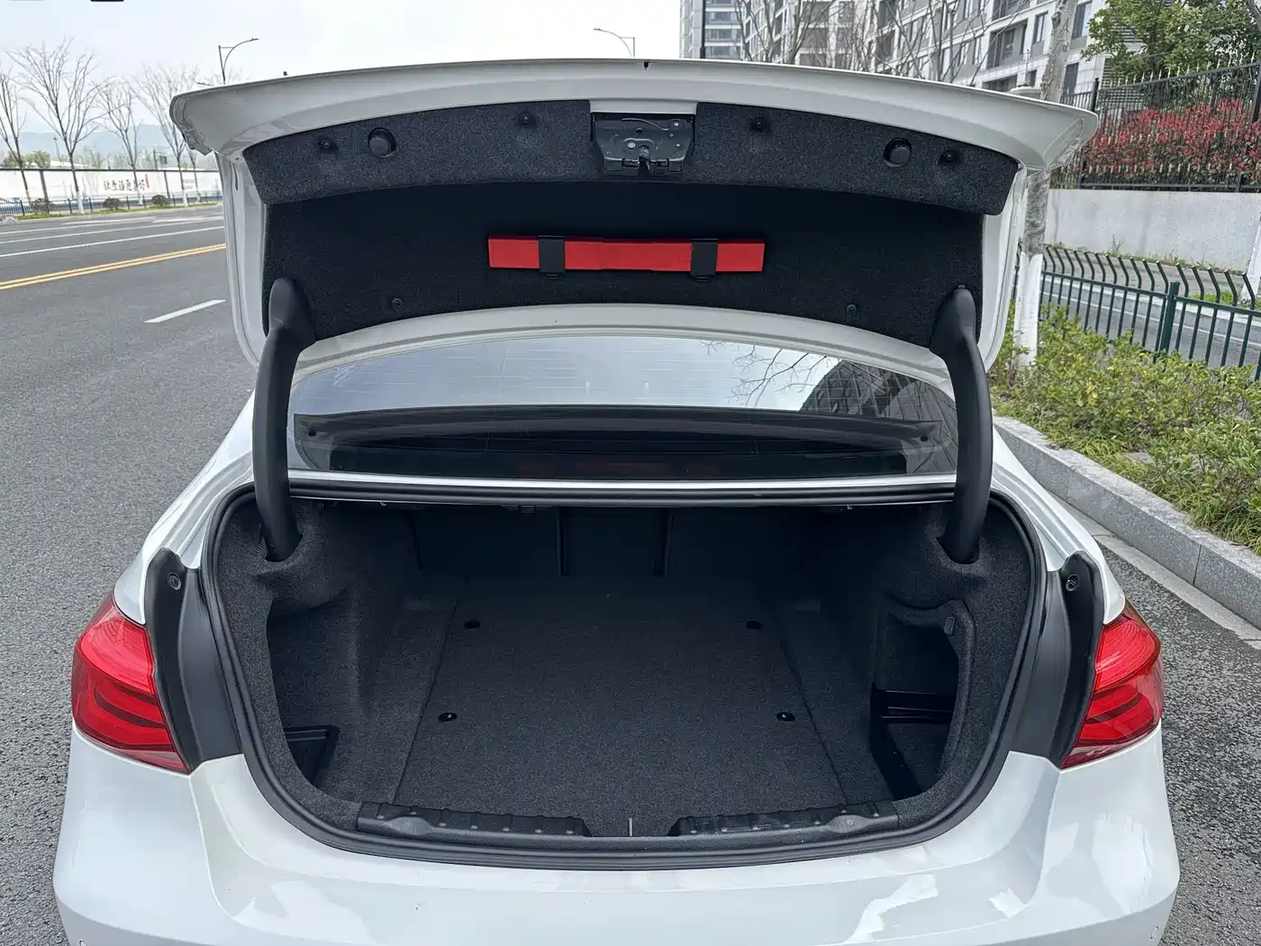 BMW 3 Series 2019 320Li M Luxury Package фото 22