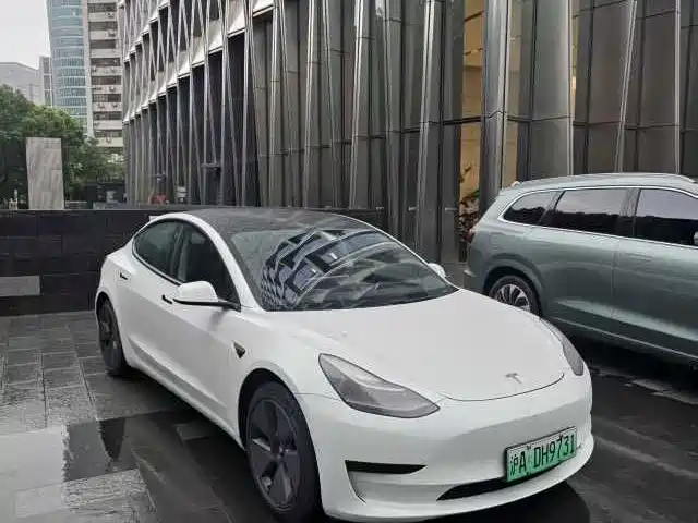 Tesla Model 3 Стандартный запас хода, задний привод, улучшенная, 3D6