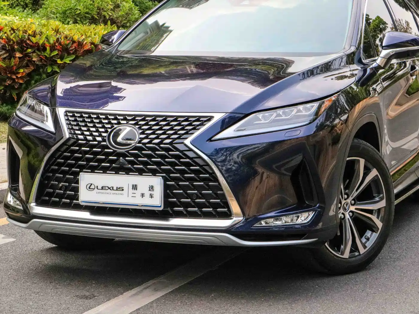 Lexus RX 2020 Facelift 300 AWD Elegance Edition фото 3