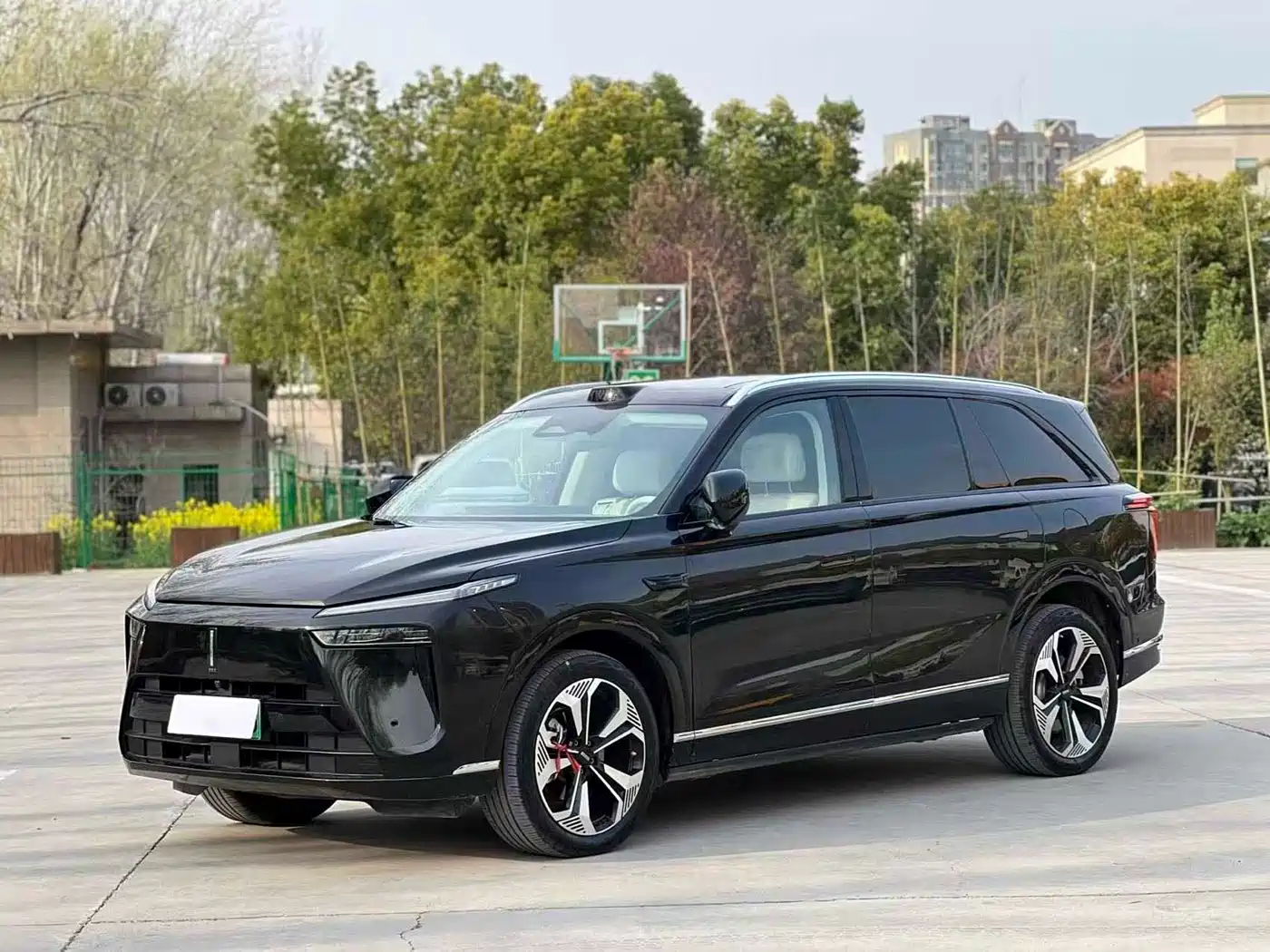 WEI PAI WEI BRAND BLUE MOUNTAIN