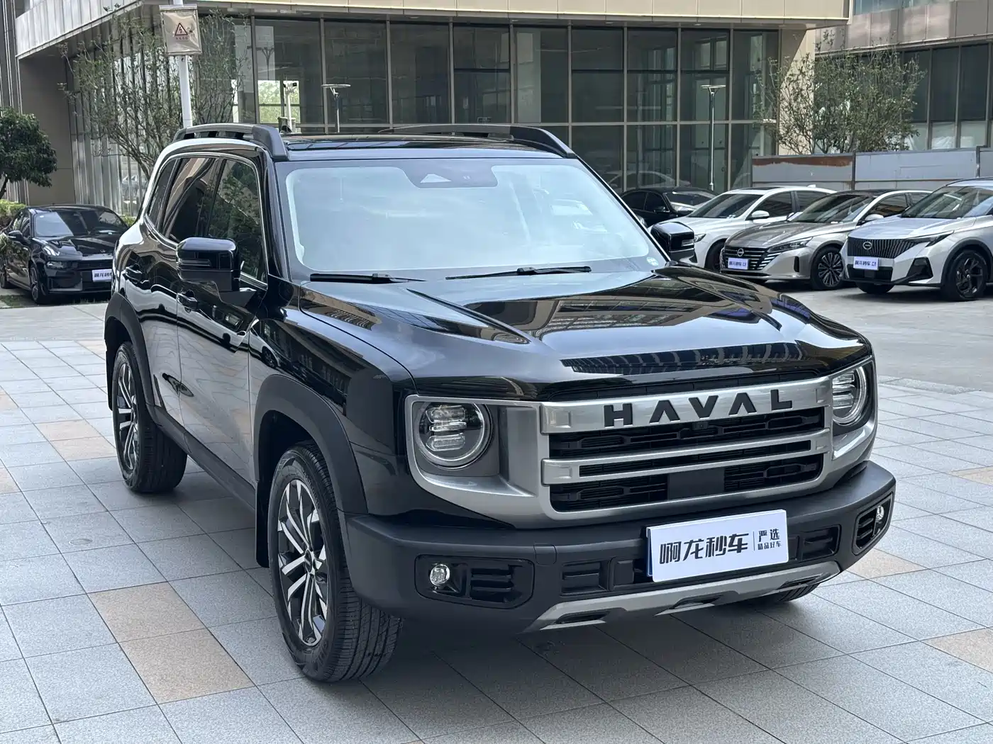 HAVAL BIG DOG