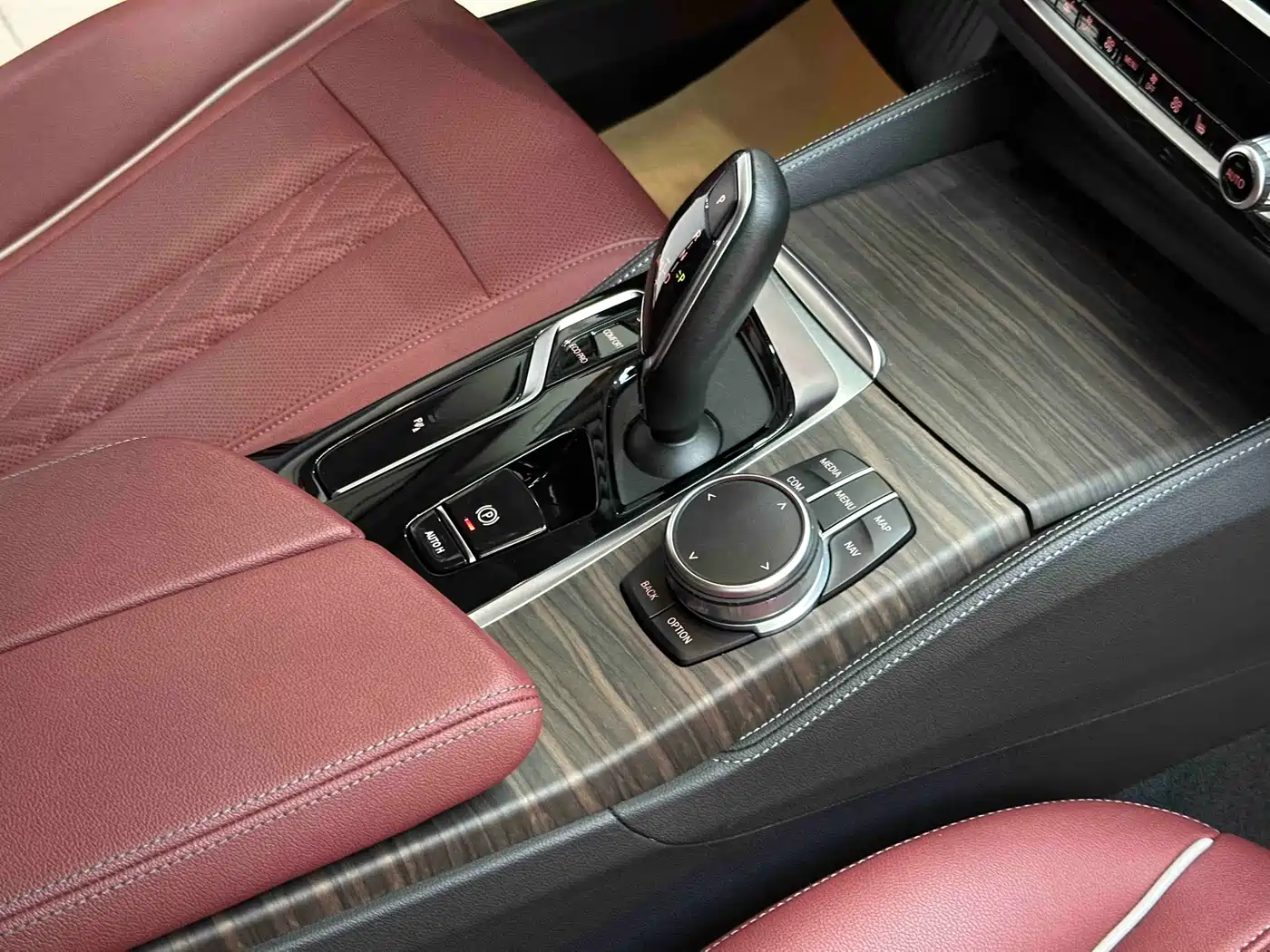 BMW 5 Series 2021 530Li Leading Luxury Package фото 23