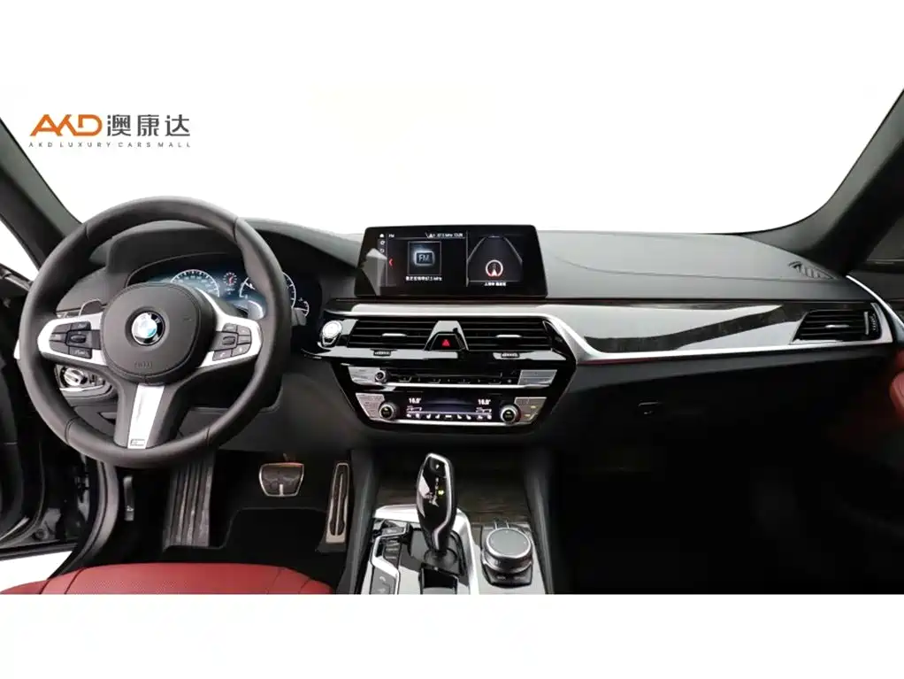BMW 5 Series 2019 Facelift 530Li Premium M Sport Package фото 5