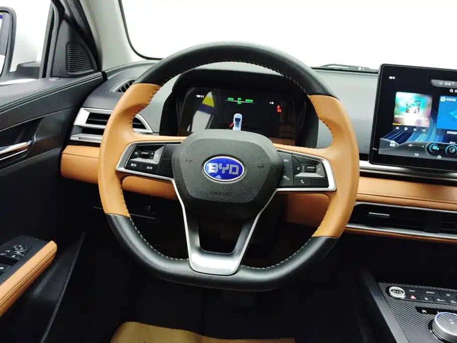 BYD e2 2022 2021 Luxury Edition