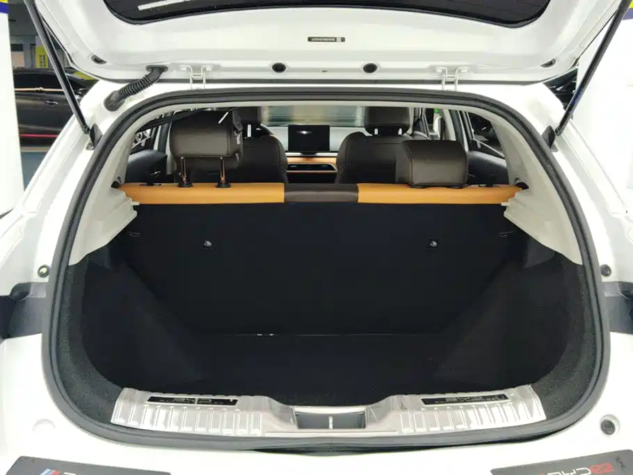 BYD e2 2022 2021 Luxury Edition