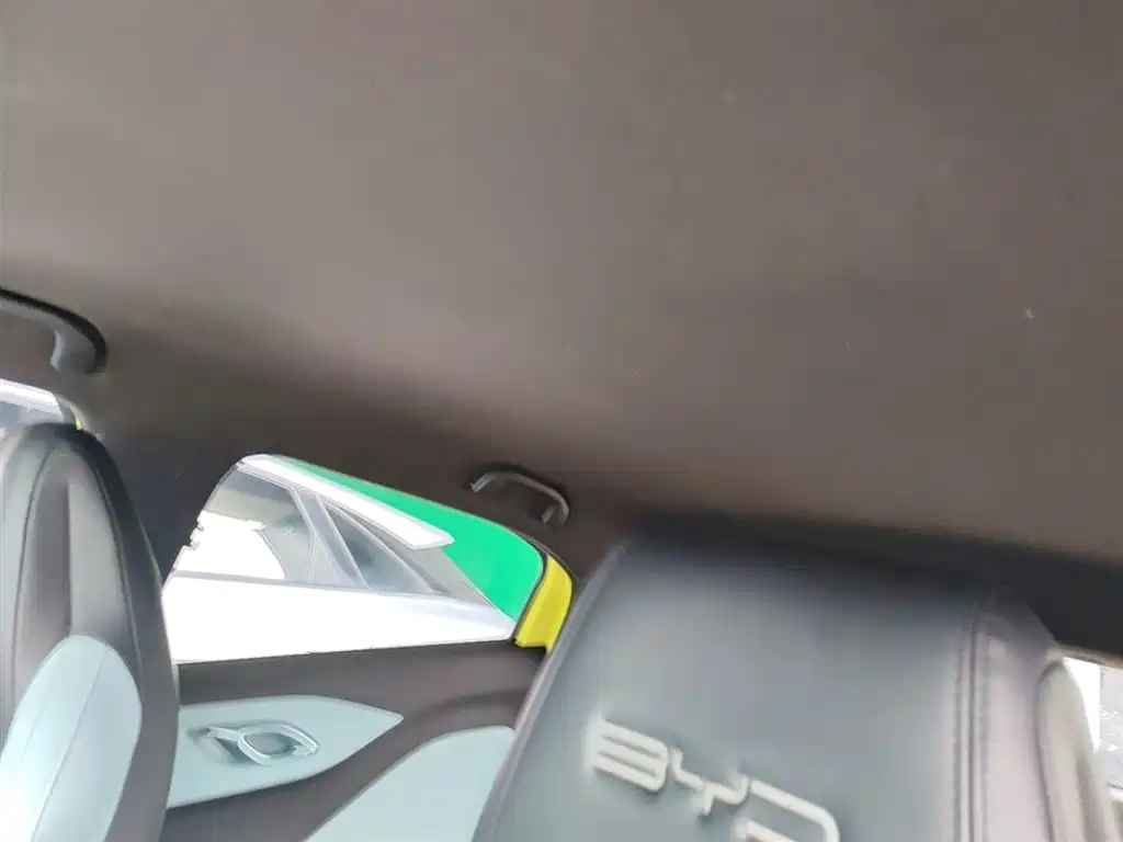 BYD Seagull 2023 Vitality Edition фото 18