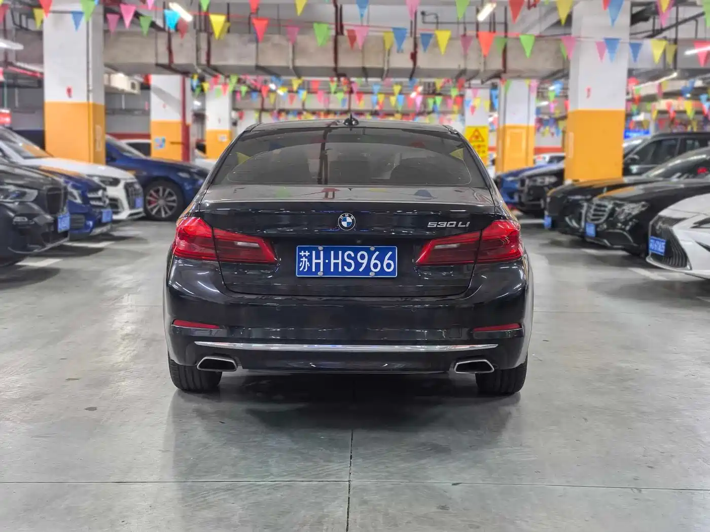 BMW 5 Series 2019 530Li Leading Luxury Package фото 5