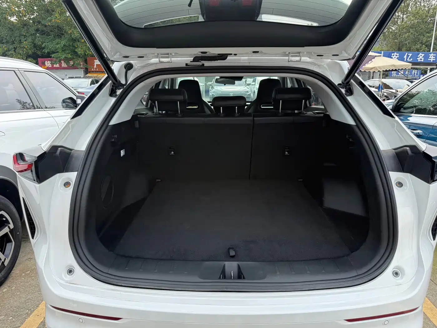 Changan Oshan Z6 2023 2023 Blue Whale 1.5T DCT Smart Leader