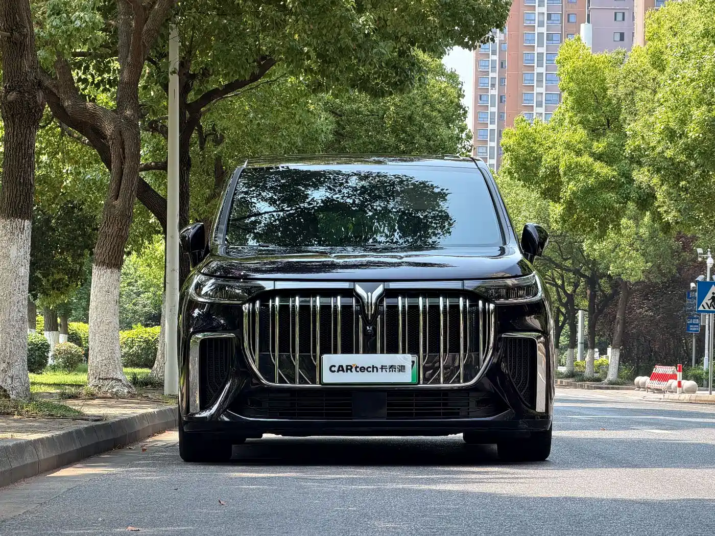 Voyah Auto Voyah Dreamer 2024 PHEV Extended Range Flagship Edition фото 2