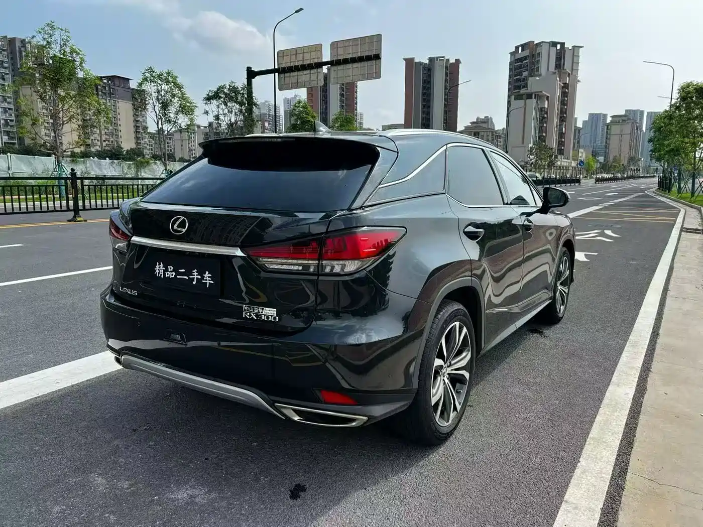 LEXUS RX