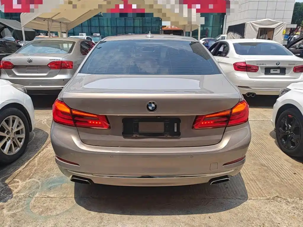 BMW 5 Series 2018 Facelift 530Li Leading Luxury Package фото 6
